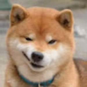 Meet your Posher, Tech